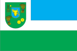 Prylukskiy rayon prapor